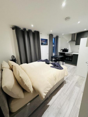 Studio in Oval London